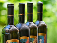 Ту Бе-Ав в DELI VINO, большой праздник в Нетании