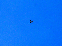 ПИЦ: ЦАХАЛ обстрелял