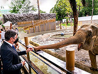 По стопам Лаврова: Блинкен отправился в Африку