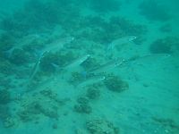 Завершился 