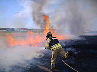 Возле нескольких поселений в Иудее и Самарии произошли пожары