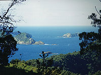 В районе архипелага Кермадек произошло сильное землетрясение