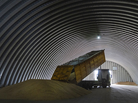 США выделяют 68 млн долларов на закупку украинской пшеницы для Всемирной продовольственной программы