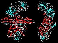 Минобороны РФ обвинило власти Украины в