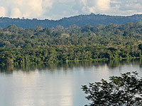 В Бразилии скончался 