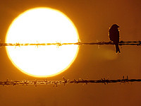 В Миссисипи пилот, угрожавший протаранить универмаг, посадил самолет после четырех часов полета