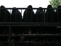 Арабские монархии потребовали от Netflix удалить несоответствующий 