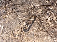 В Биньямине легко ранен военнослужащий ЦАХАЛа, нападавший застрелен