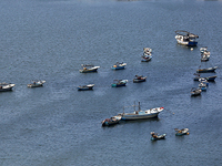 ХАМАС анонсировал