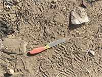 Теракт возле Модиина: пострадали восемь человек