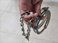 Предъявлены обвинения убийце Елены Гранберг