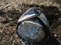 Армия РФ нанесла по Киевской области ракетный удар