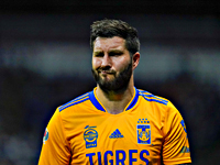 Чемпионат Мексики. Во время празднования победного гола Жиньяка фанатка обнажила грудь