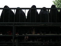 Иранская скалолазка принесла извинения за выступление без хиджаба