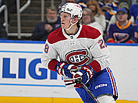 В Сент-Луисе забросили 11 шайб. Хет-трик Дворака. Невероятный третий период 