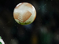 Вопреки прогнозам.