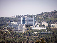 Организация