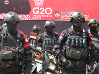 Источники: ни Путин, ни Зеленский не приедут на саммит