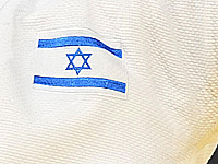 Чемпионат мира по боевому самбо. Израильтянин завоевал серебряную медаль