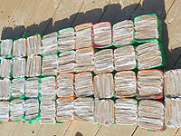 На побережье Тель-Авива морем выбросило покрышку, 