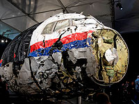 Суд в Гааге постановил, что самолет MH17 был сбит ракетой