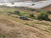 ДТП в Самарии, погибла пожилая женщина