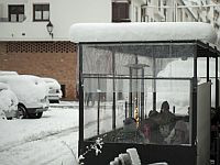 Совместный завод