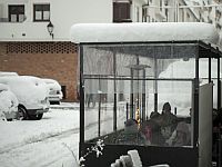 Совместный завод 