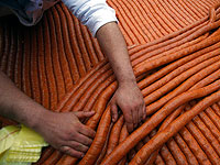 Продукция компании 