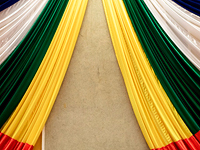 В столице ЦАР совершено покушение на руководителя 