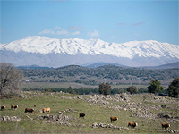 Заснеженный Хермон (архив)