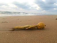 В море у Ашкелона упали контейнеры с детскими игрушками и пустышками