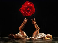 Театр Momix и ALICE - дайте волю воображению! Фоторепортаж