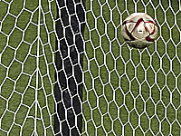 Неожиданное поражение