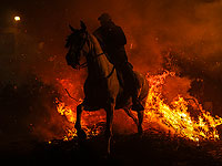 Очищение огнем: день заступника животных в Испании. Фоторепортаж