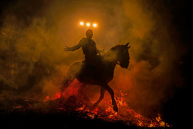 Очищение огнем: день заступника животных в Испании. Фоторепортаж Очищение огнем: день заступника животных в Испании. Фоторепортаж