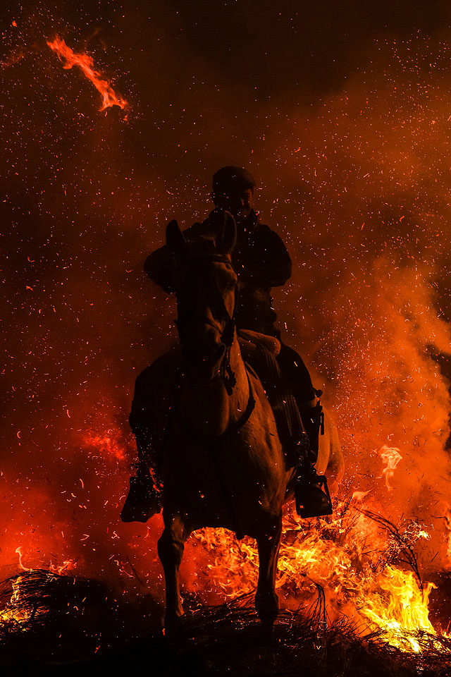 Очищение огнем: день заступника животных в Испании. Фоторепортаж Очищение огнем: день заступника животных в Испании. Фоторепортаж