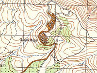 Предотвращен теракт возле поселения Элон-Море