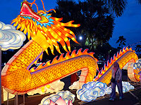 Встреча Лунного нового года от Азии до Европы. Фоторепортаж