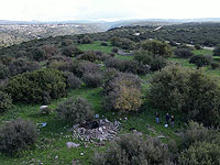 На севере арестованы 