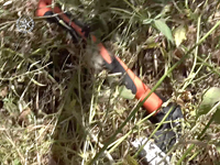 Скончался житель Барекета, тяжело раненный в теракте в Эльаде