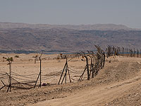 Офицер полиции: 