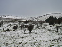 Голанские высоты в снегу. Фоторепортаж