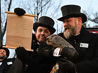 137-й День сурка в Северной Америке: зима затянется до середины марта. Фоторепортаж