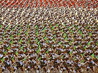 The Times: МИД Великобритании приостановил процесс признания КСИР террористической организацией