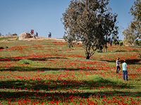 На границе с сектором Газы будет создан новый поселок под названием Ханун