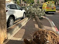 Первые пострадавшие в результате бури 