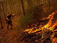 Последствия лесных пожаров в Чили. Фоторепортаж