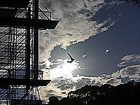 В ДТП погибла чемпионка России по хай-дайвингу