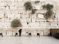 Законопроект о тюремном сроке за нескромную одежду у Стены Плача не будет выдвинут на голосование